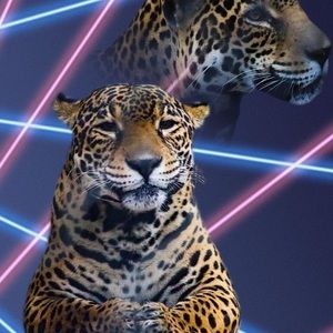 HOLD for Abbey Plate Two